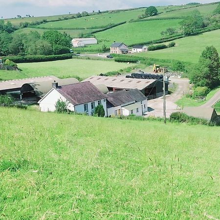 Typicca Farmhouse Brechfa Exterior photo