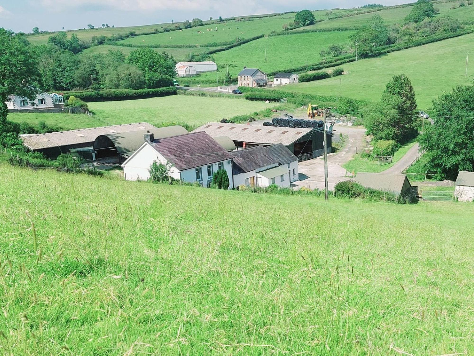 Typicca Farmhouse Brechfa Exterior photo